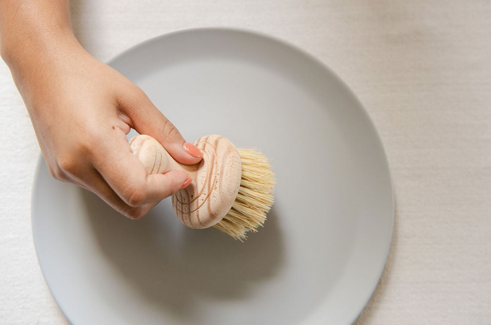No Tox Life - Casa Agave™ Long Handle Dish Brush – Thatcher Buda