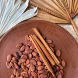 Single-origin Mexican cacao beans, Mexican cinnamon sticks used for artisanal drinking chocolate on a barro ceramic plate with neutral, palm leaves as placemats.