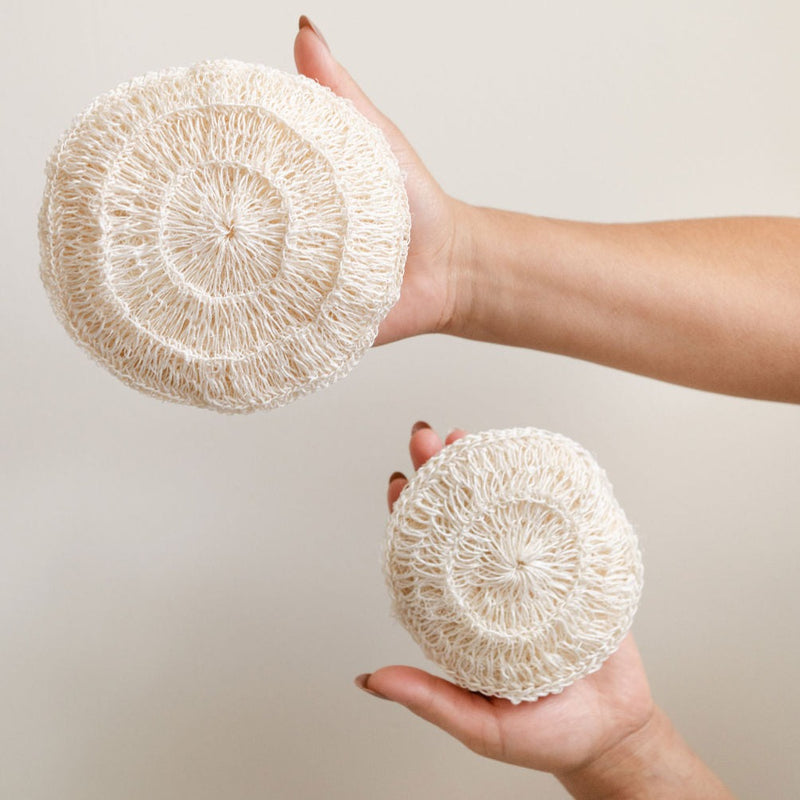 Two Plastic Free Agave Body Sponges with ergonomic handles in regular size and large size held by two hands