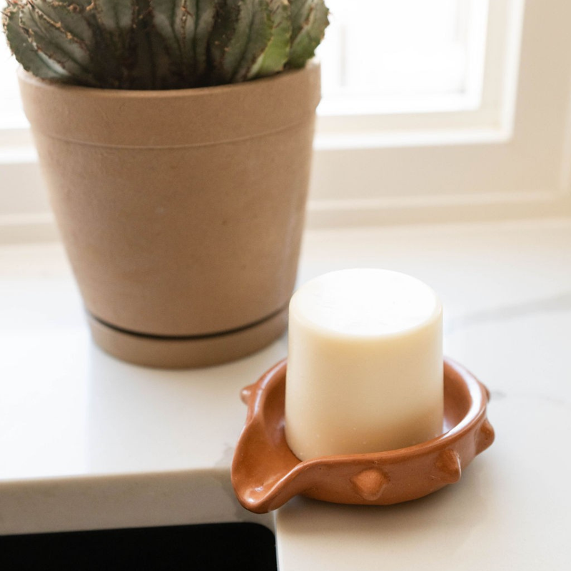 Oaxacan Terracotta Spiked Ceramic Soap Dish