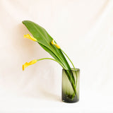 Three yellow calla lilies with long green leaves arranged in a olive green translucent cylindrical glass vase against a white fabric backdrop.
