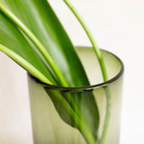 A close-up of a translucent olive green glass vase holding long, glossy green plant leaves against a soft off-white background.