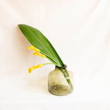 A large translucent olive-green glass vase holding a yellow flower with a long green leaf, set against a soft white fabric backdrop.