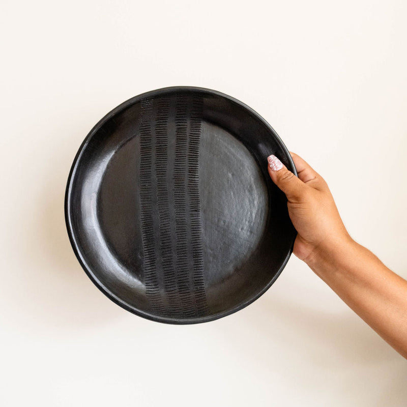 Hand holding a black ceramic plate against a white background