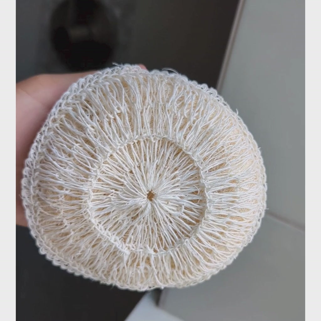 Dry agave body sponge showing front and back and ergonomic handle in shower