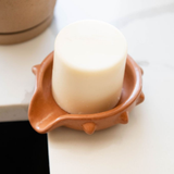 Oaxacan Terracotta Spiked Ceramic Soap Dish