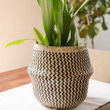 Handwoven Palm Belly Basket